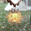 Outdoor Star Camping Light Shade Lampshade Multicolor 3