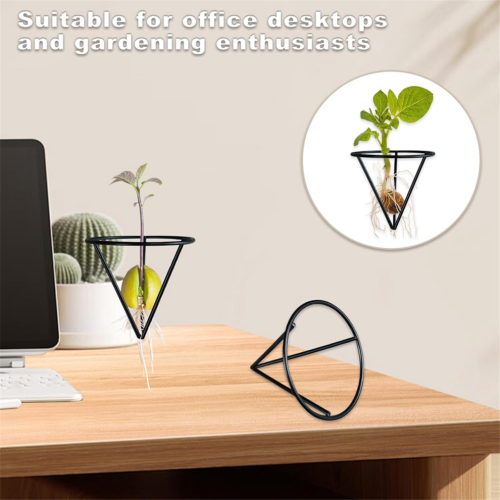 4 metal stands for avocado seeds 1