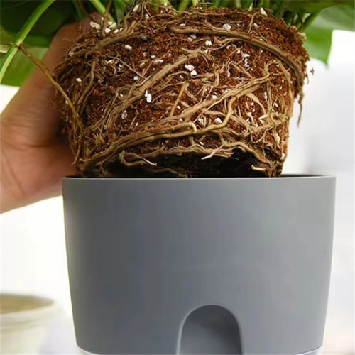 2-layer soilless growing flower pot, cotton rope, self-watering 2