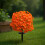 Artificial Morning Glory Flower Stake Simulation-Mixed colors 11