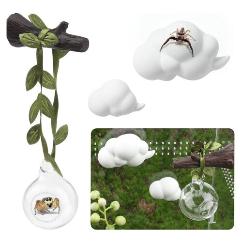 4pcs Jumping Spider Hide Glass   Cloud Platform Ledges Jumping Spider for Decorating Jumping Spider Enclosure 2