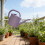 Watering Can 1L/2L Plastic Watering Can with-Blue 1L 9