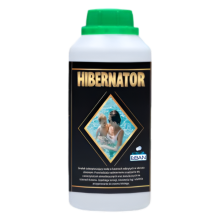 Hibernator Produit d'hivernage pour piscine 0,5 L Chimie de piscine pour l'hiver EBAN — sécurité piscine