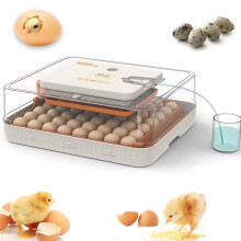 Incubator, holds 56 eggs, LED display, adjustable temperature and humidity, ventilated design, grey
