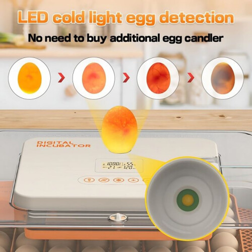 Incubator, holds 56 eggs, LED display, adjustable temperature and humidity, ventilated design, grey 2