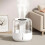 Humidifier, LED display, USB, dual nozzle, 3 modes, soft night light, portable, white 2