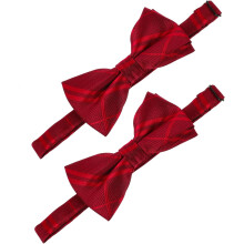 Verstellbare Polyester-Fliege für Herren, kariert, doppelte Schleife, Halsaccessoire, strapazierfähig und leicht