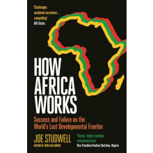 How Africa Works Success and Failure on the Worlds Last Developmental