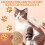 3-In-1 Multifunctional Pet Steam Brush Cat Steam Brush Suitable for All Pets Advanced Atomization Technology 6