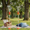 (A, Orange) Battery Powered Bubble Maker – No Assembly – for Lawn and Courtyard 4