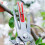 Double-edged Apple Picking Scissors Kiwi Pear Thinning Scissors Double Mouth 2