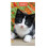 2027 Slim Pocket Diary Two Weeks To View - Tuxedo Kitten 1