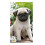 2027 Slim Pocket Diary Two Weeks To View - Pug Puppy 1