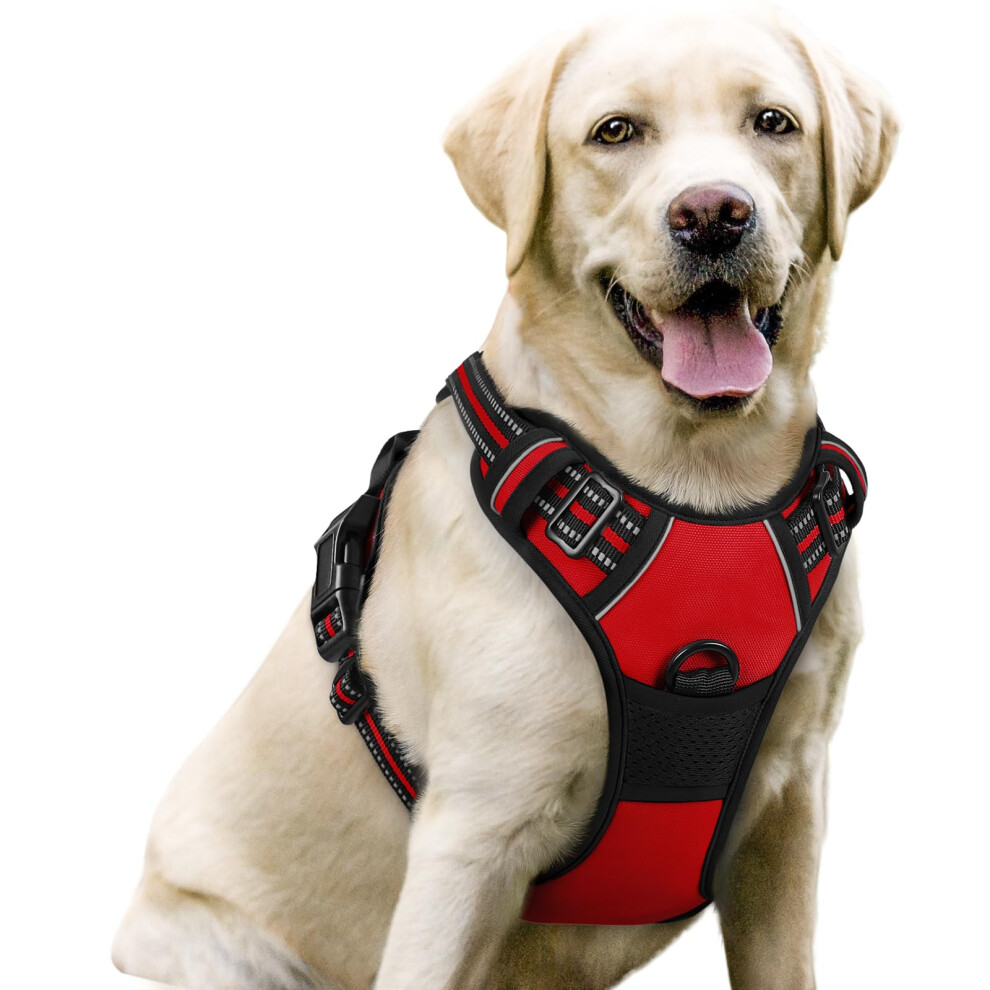 Rabbitgoo Dog Harness Large Dog No Pull Pet Harness With 2 Leash Clips, Adjustable Soft Padded Pet Vest, Reflective No-Choke With Easy Contr
