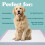 Simple Solution 6-Layer All Day Premium Dog Pads - Lavender Scent pack of 100 3