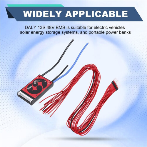 Daly 13S 48V BMS for 18650 Lithium Batteries Battery Management System High Current Support 20A 2
