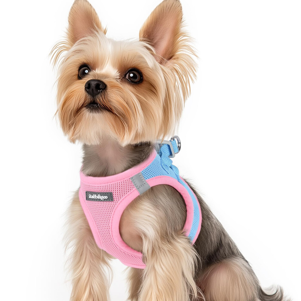 Rabbitgoo Dog Harness Small Dog, Step-In Soft Mesh Puppy Harness With Reflective Strips, Lightweight Breathable Pet Vest For Walking Trainin