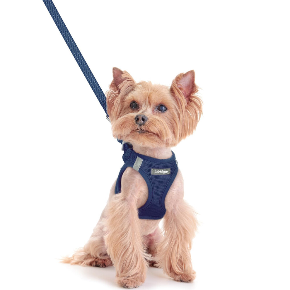 Rabbitgoo Dog Harness Small Dog And Leash Set, Step-In Soft Mesh Puppy Harness With Reflective Strips, Lightweight Breathable Pet Vest For W