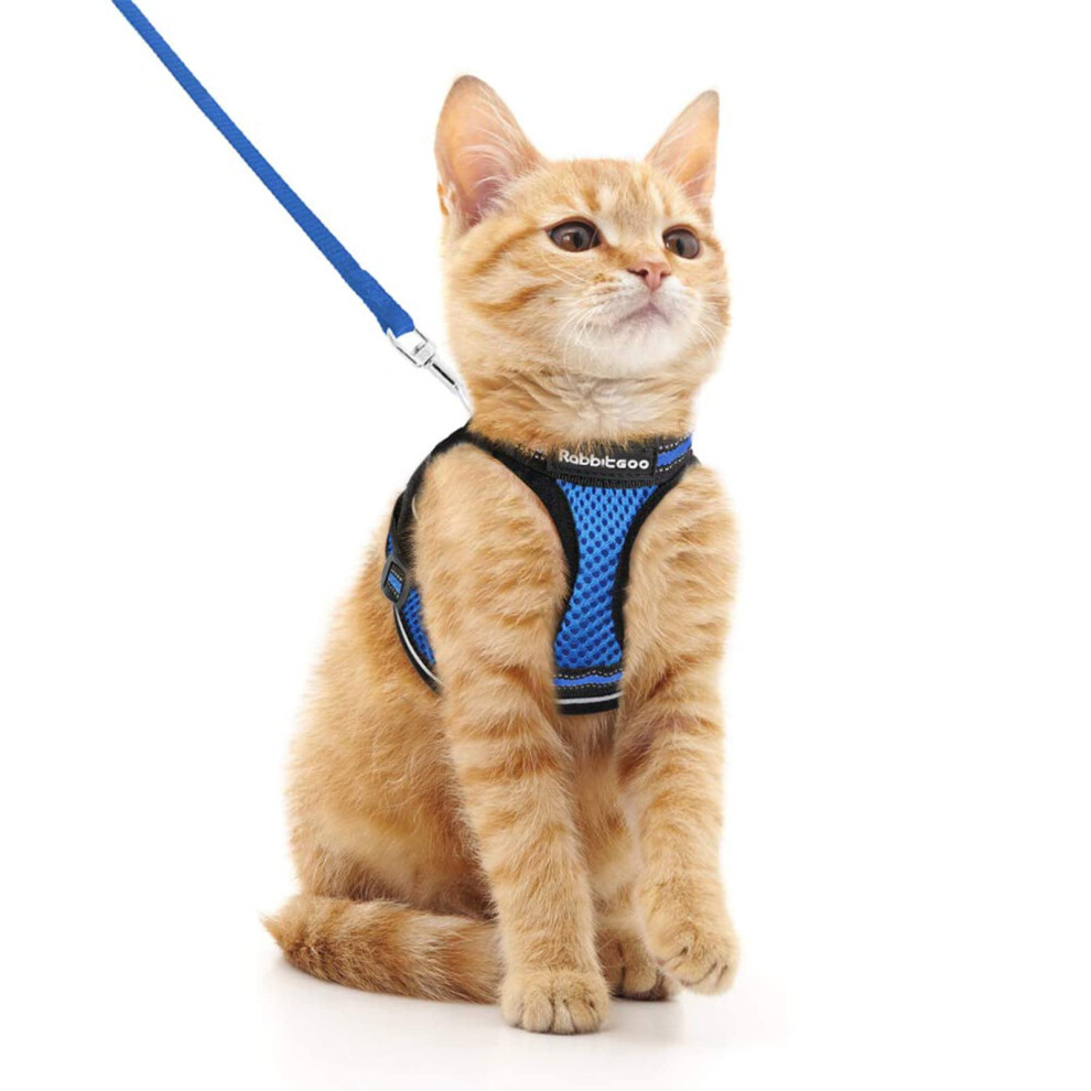 Rabbitgoo Cat Harness And Lead Set, Escape Proof Cat Vest With Leash, Soft Comfortable Step-In Kitten Harness, Adjustable And Reflective For