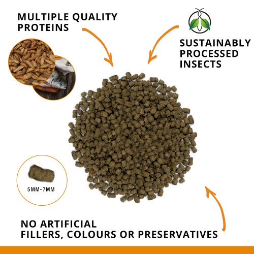 Fluval Fluval Bug Bites Goldfish Granule Fish Food 100g 1