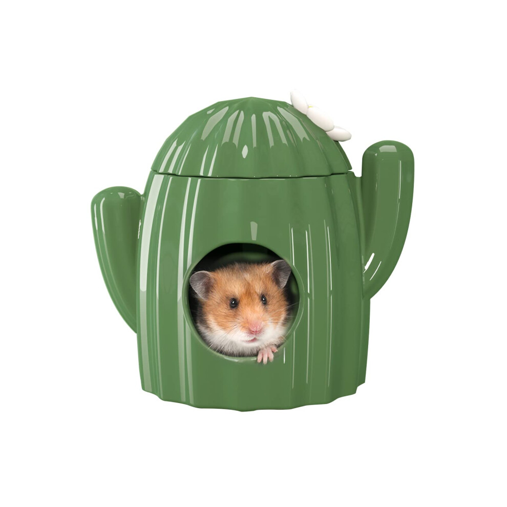 Bucatstate Hamster Hideout Ceramic - Cactus Shape Hamster House And Habitats Cool Bed Ideal For Summer Dwarf Hamster Gerbil Mice Golden Bear