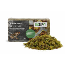 ProRep Forest Moss Bricks 100g | Reptile Moss Block | Expanding Terrarium Moss for Reptiles, Amphibians & Invertebrates | Natural, Sustainab