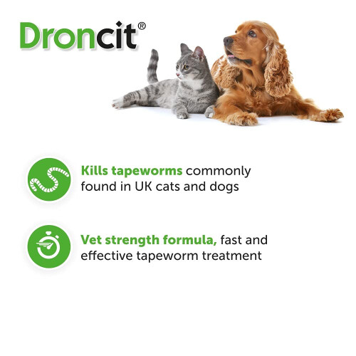 Droncit Tapeworm Tablets, Single tablet 2