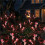 4Pcs Halloween Decorations Outdoor Solar Powered Eyeball Stake Lights Yard Decor 4