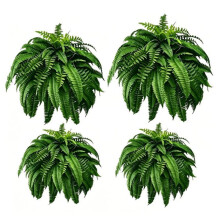 23.62 Inch Fern Plants X4