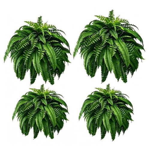 23.62 Inch Fern Plants X4