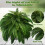 23.62 Inch Fern Plants X4 3