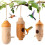 3 Pack  House for Outdoors Hanging, Wooden Houses for Outside Nesting 1
