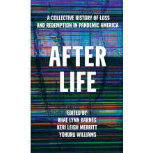 After Life A Collective History of Loss and Redemption in Pandemic Ame