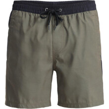(M, Grape Leaf Holmes) Quiksilver Mens Everyday Holmes Volley 16" Swim Shorts
