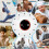 Digital Productivity Timer, Rotating Pomodoro Timer with 1-3-5-15-30-60-90 Min Countdown, for Study Office Kitchen Desk 5