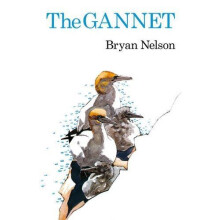 Gannet by Bryan Nelson Hardcover Book