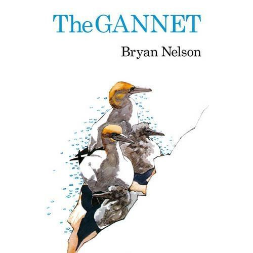 Gannet by Bryan Nelson Hardcover Book