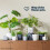 LIVIVO 22cm Round Sandstone Plastic Plant Pot White 1