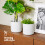 LIVIVO 22cm Round Sandstone Plastic Plant Pot White 2