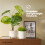 LIVIVO 22cm Round Sandstone Plastic Plant Pot White 3