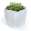 LIVIVO 12cm Plastic Plant Pot Grey Sandstone 1
