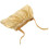 1Herbruikbare Pet Shower Cap Comfortabel En Puppy's 1