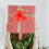 20St Plastic Pull Bows Voor Cadeauverpakking En Feestdecoratie 8