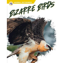 Bizarre Birds by Libby Wilson Hardcover Book