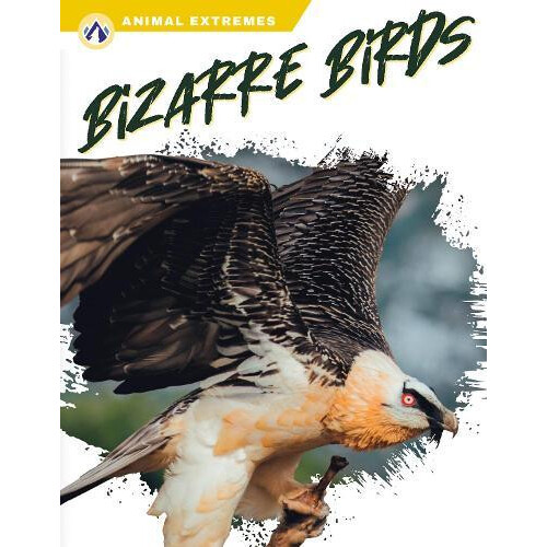Bizarre Birds by Libby Wilson Hardcover Book
