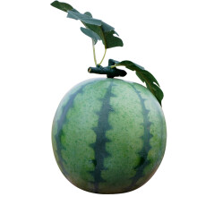 1X Kunststof Watermeloen Fruit Model Decor Voor Speelhoek Kinderen