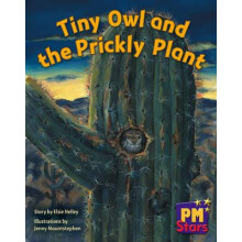 Tiny Owl and Prickly Plant by Elsie Nelley Paperback Book