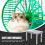 1Lavendel Stevig Hamster Accessoire Met Bed En Schuilplaats 6