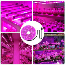 3X LED Licht Wachsen Lassen Voll 5V USB Licht Wachsen Lassen Strip 2835 LED Phyto Lampen für Pflanzen GewäChs Haus Hydroponisches Wachsen