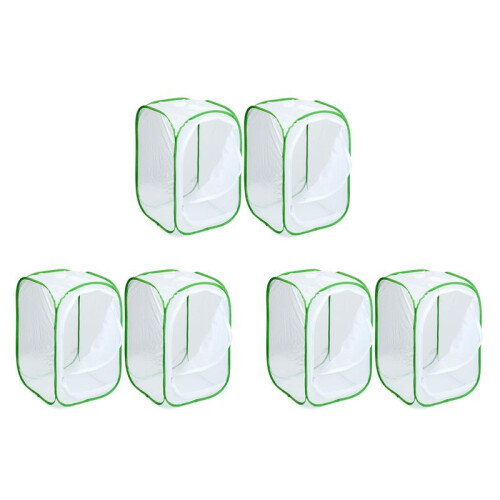 Gaiola para  de Insetos e Borboletas, Pacote com 6, Terrário, Gabinete - para Borboletas ( 15,7 X 15,7 X 23,6 Polegadas)